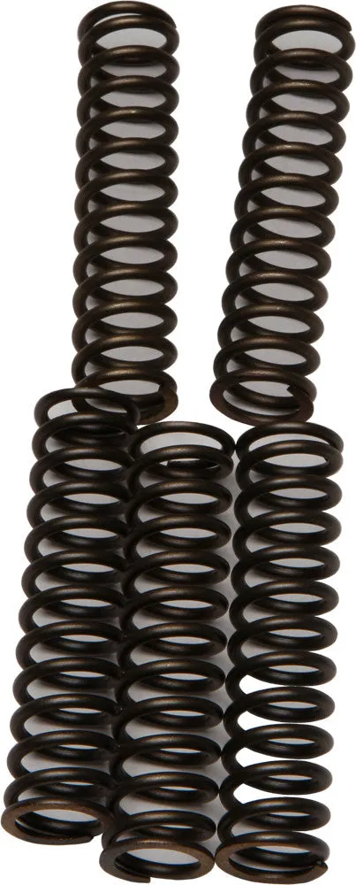 EBC CLUTCH SPRINGS CSK110