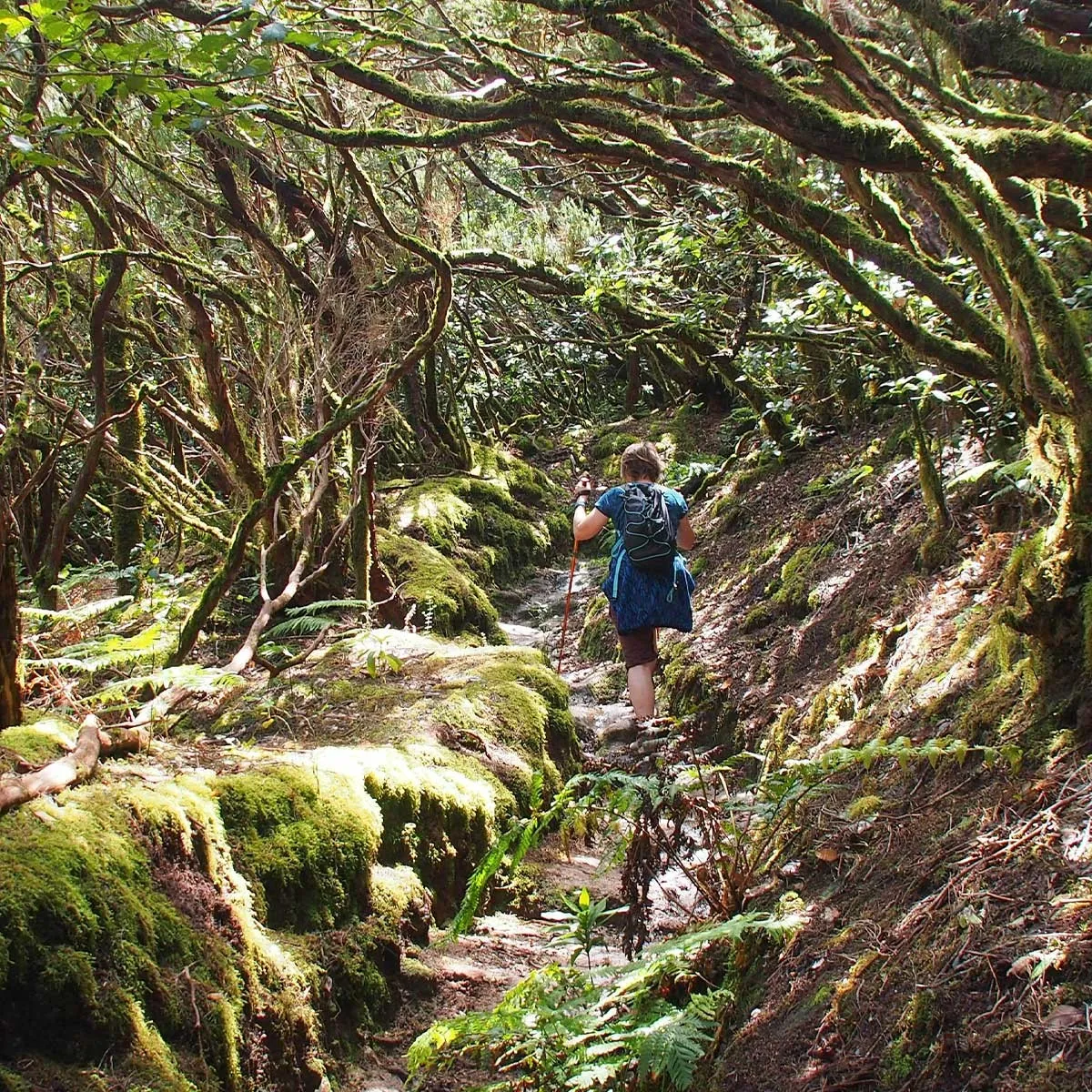 Exped Cloudburst 25 Waterproof Backpack